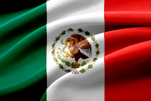 Registration checklist for Software as a Medical Device in Mexico according to Article 83 of the ‘Health Supplies Regulation’