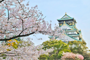 PMDA Overview Of The Review Systems For Innovative Medical Devices In Japan